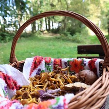 Pilz-Wanderung / Photo: © Jasmin Kiefer Pilz-Wanderung